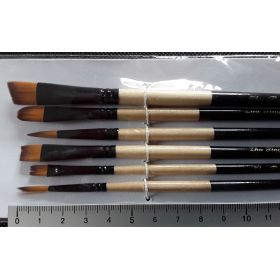 Set de 6 pinceaux