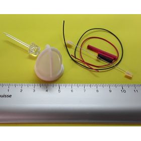 Kit globe avec protection blanc 24x30mm et led blanc froid à câbler