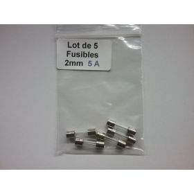 Fusibles 5A 2mm