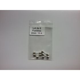 Fusibles 10A  2mm